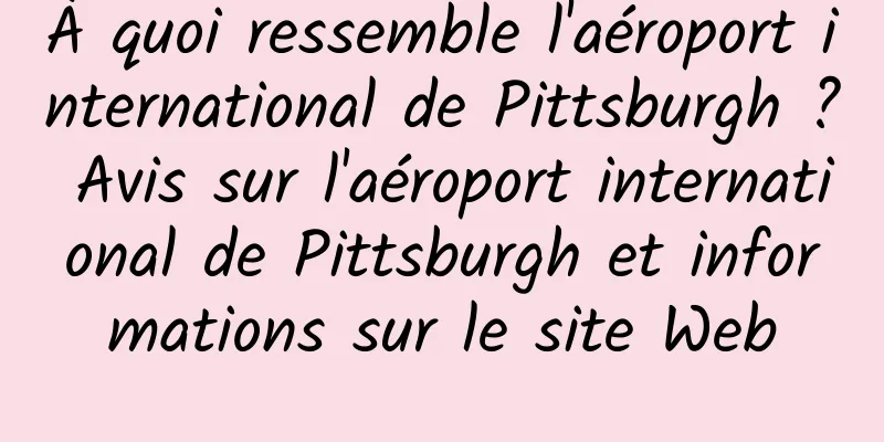 À quoi ressemble l'aéroport international de Pittsburgh ? Avis sur l'aéroport international de Pittsburgh et informations sur le site Web