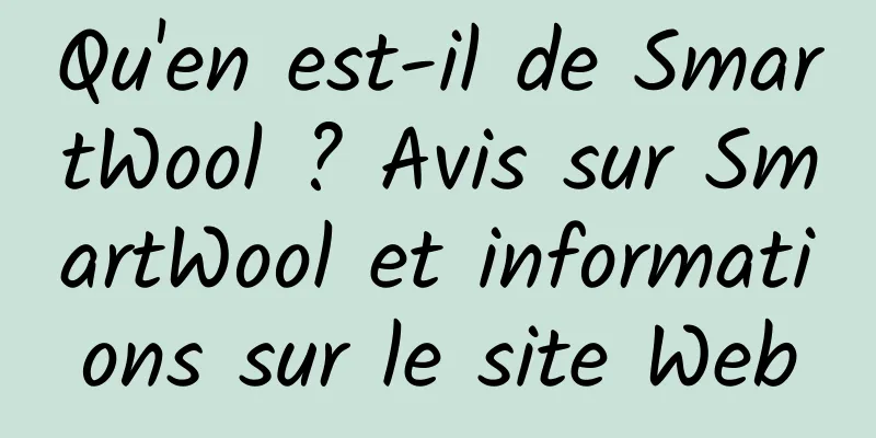 Qu'en est-il de SmartWool ? Avis sur SmartWool et informations sur le site Web
