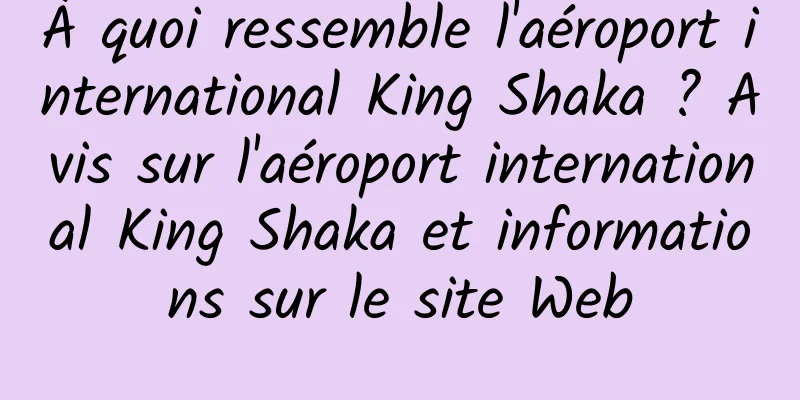À quoi ressemble l'aéroport international King Shaka ? Avis sur l'aéroport international King Shaka et informations sur le site Web