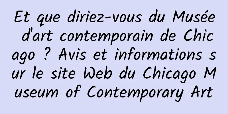Et que diriez-vous du Musée d'art contemporain de Chicago ? Avis et informations sur le site Web du Chicago Museum of Contemporary Art