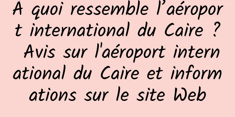À quoi ressemble l’aéroport international du Caire ? Avis sur l'aéroport international du Caire et informations sur le site Web