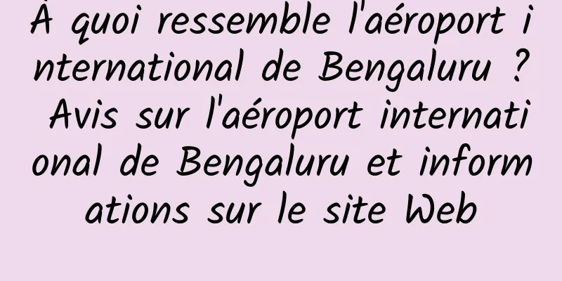 À quoi ressemble l'aéroport international de Bengaluru ? Avis sur l'aéroport international de Bengaluru et informations sur le site Web