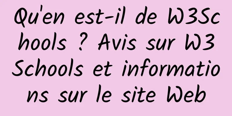 Qu'en est-il de W3Schools ? Avis sur W3Schools et informations sur le site Web