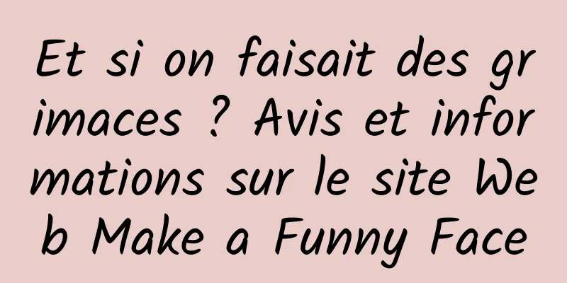 Et si on faisait des grimaces ? Avis et informations sur le site Web Make a Funny Face
