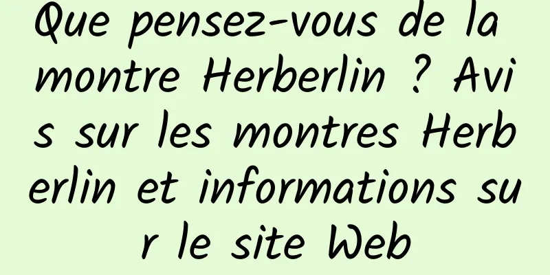 Que pensez-vous de la montre Herberlin ? Avis sur les montres Herberlin et informations sur le site Web