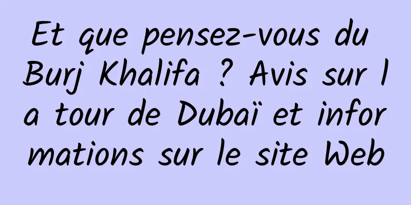 Et que pensez-vous du Burj Khalifa ? Avis sur la tour de Dubaï et informations sur le site Web