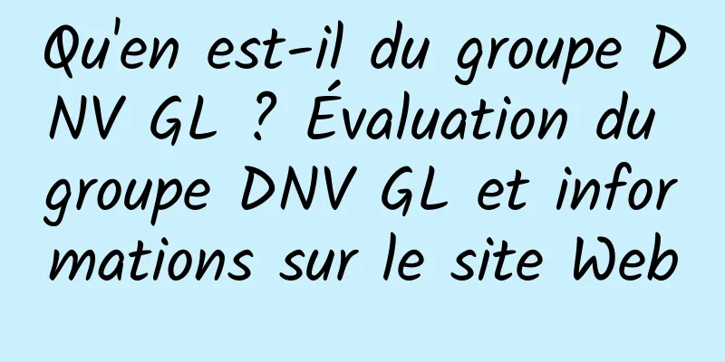 Qu'en est-il du groupe DNV GL ? Évaluation du groupe DNV GL et informations sur le site Web