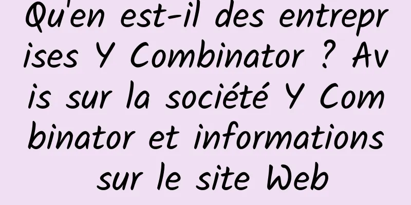 Qu'en est-il des entreprises Y Combinator ? Avis sur la société Y Combinator et informations sur le site Web
