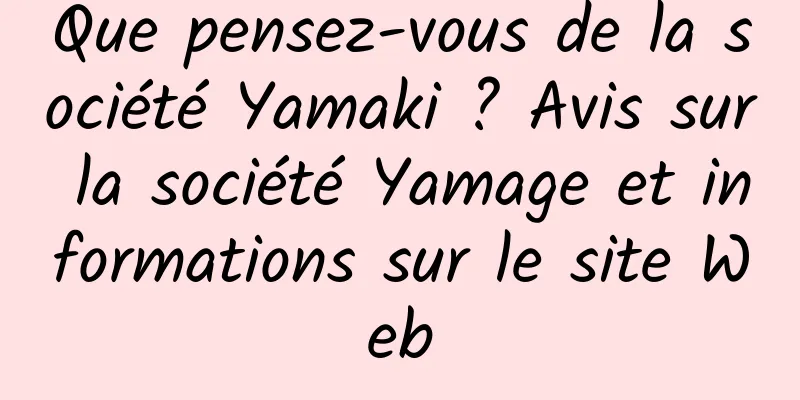 Que pensez-vous de la société Yamaki ? Avis sur la société Yamage et informations sur le site Web