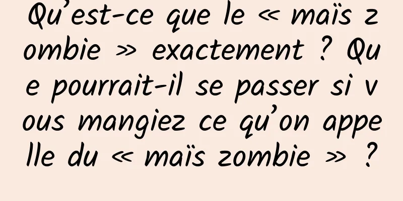 Qu’est-ce que le « maïs zombie » exactement ? Que pourrait-il se passer si vous mangiez ce qu’on appelle du « maïs zombie » ?