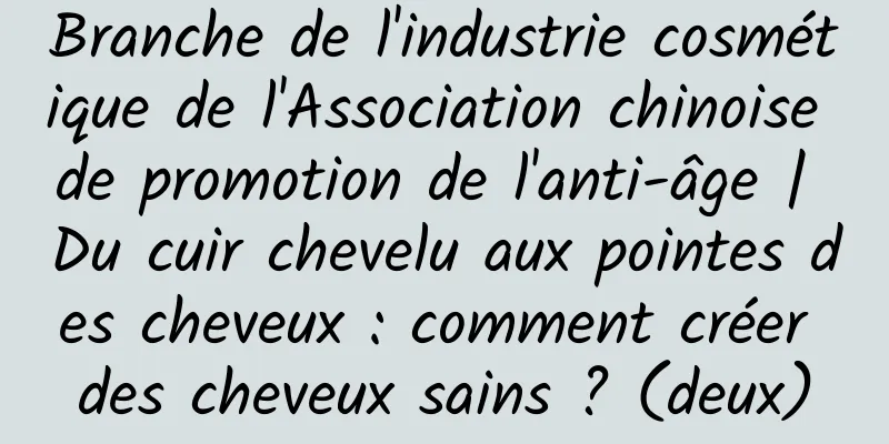 Branche de l'industrie cosmétique de l'Association chinoise de promotion de l'anti-âge | Du cuir chevelu aux pointes des cheveux : comment créer des cheveux sains ? (deux)