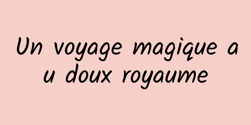 Un voyage magique au doux royaume