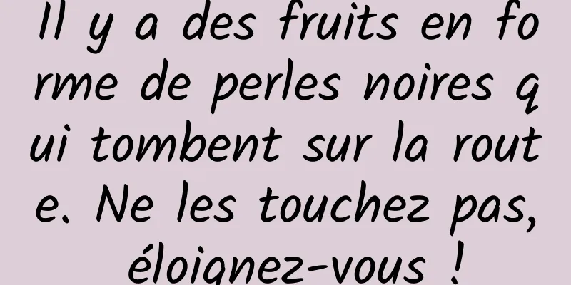 Il y a des fruits en forme de perles noires qui tombent sur la route. Ne les touchez pas, éloignez-vous !