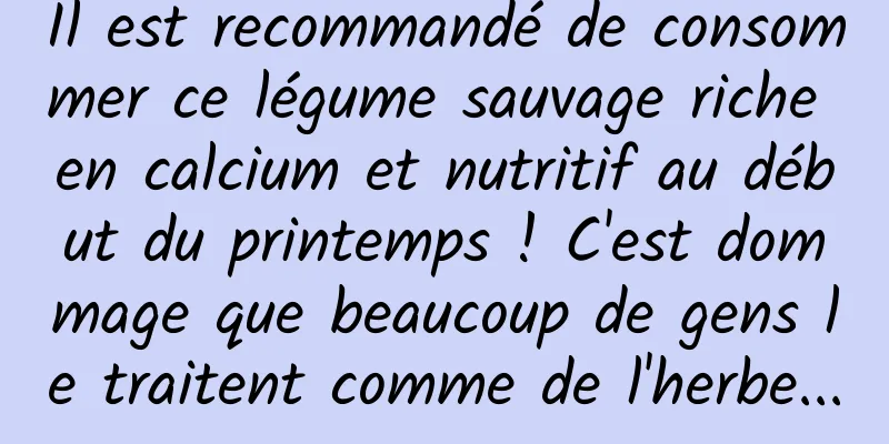 Il est recommandé de consommer ce légume sauvage riche en calcium et nutritif au début du printemps ! C'est dommage que beaucoup de gens le traitent comme de l'herbe...