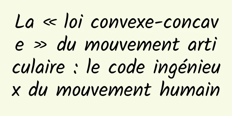 La « loi convexe-concave » du mouvement articulaire : le code ingénieux du mouvement humain