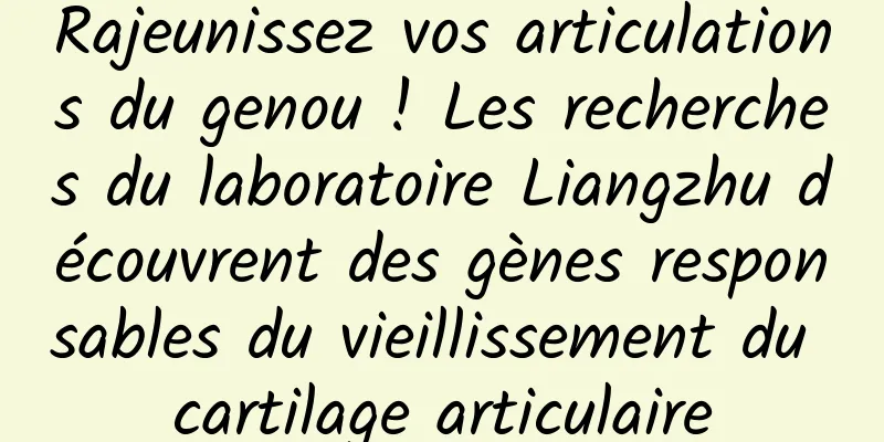 Rajeunissez vos articulations du genou ! Les recherches du laboratoire Liangzhu découvrent des gènes responsables du vieillissement du cartilage articulaire