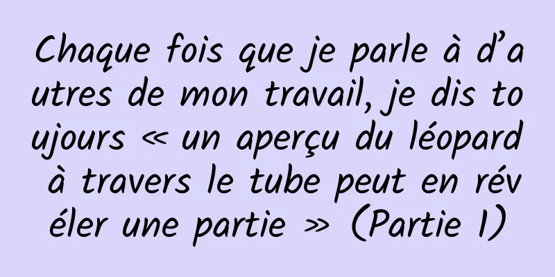 Chaque fois que je parle à d’autres de mon travail, je dis toujours « un aperçu du léopard à travers le tube peut en révéler une partie » (Partie 1)