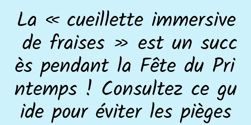 La « cueillette immersive de fraises » est un succès pendant la Fête du Printemps ! Consultez ce guide pour éviter les pièges