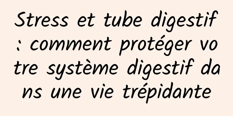 Stress et tube digestif : comment protéger votre système digestif dans une vie trépidante