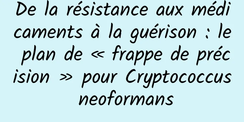 De la résistance aux médicaments à la guérison : le plan de « frappe de précision » pour Cryptococcus neoformans