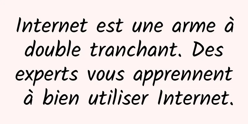 Internet est une arme à double tranchant. Des experts vous apprennent à bien utiliser Internet.