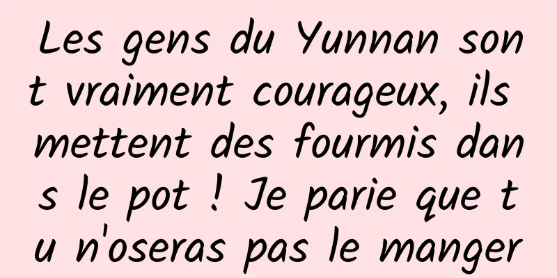 Les gens du Yunnan sont vraiment courageux, ils mettent des fourmis dans le pot ! Je parie que tu n'oseras pas le manger