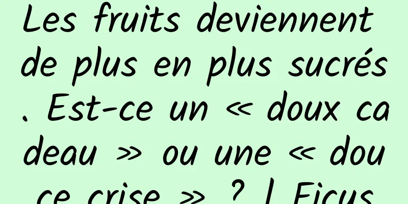 Les fruits deviennent de plus en plus sucrés. Est-ce un « doux cadeau » ou une « douce crise » ? | Ficus