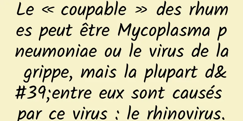 Le « coupable » des rhumes peut être Mycoplasma pneumoniae ou le virus de la grippe, mais la plupart d'entre eux sont causés par ce virus : le rhinovirus.