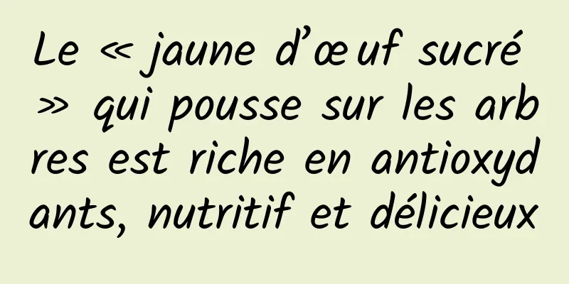 Le « jaune d’œuf sucré » qui pousse sur les arbres est riche en antioxydants, nutritif et délicieux