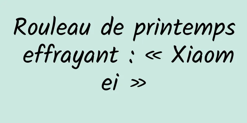 Rouleau de printemps effrayant : « Xiaomei »