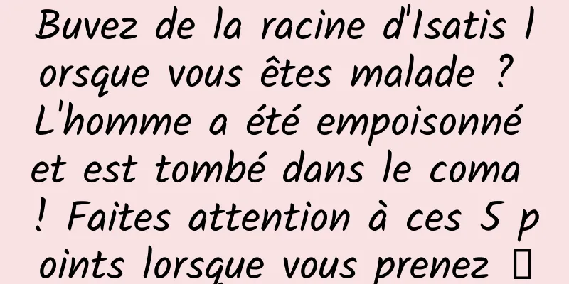 Buvez de la racine d'Isatis lorsque vous êtes malade ? L'homme a été empoisonné et est tombé dans le coma ! Faites attention à ces 5 points lorsque vous prenez →