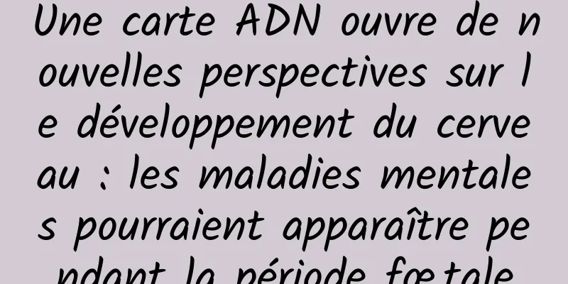 Une carte ADN ouvre de nouvelles perspectives sur le développement du cerveau : les maladies mentales pourraient apparaître pendant la période fœtale