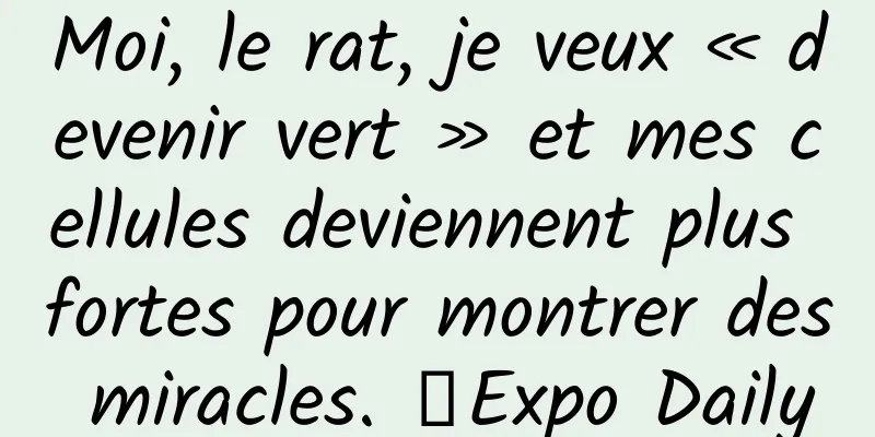 Moi, le rat, je veux « devenir vert » et mes cellules deviennent plus fortes pour montrer des miracles. ｜Expo Daily