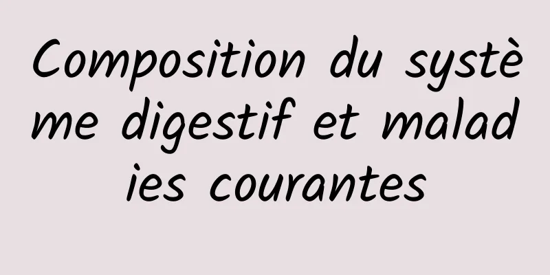 Composition du système digestif et maladies courantes