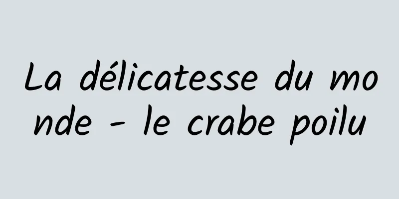 La délicatesse du monde - le crabe poilu