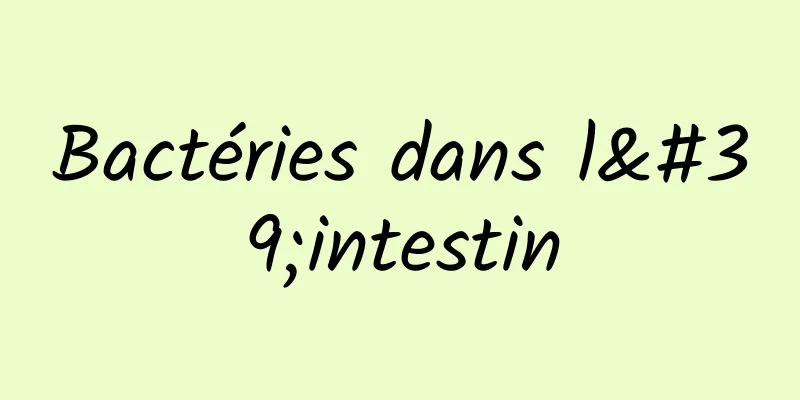 Bactéries dans l'intestin
