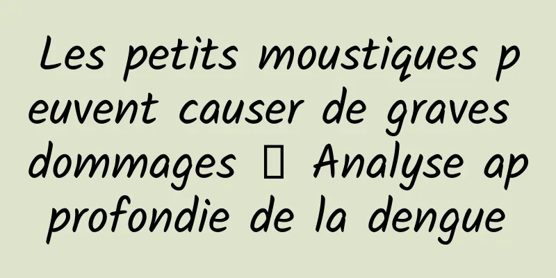 Les petits moustiques peuvent causer de graves dommages → Analyse approfondie de la dengue