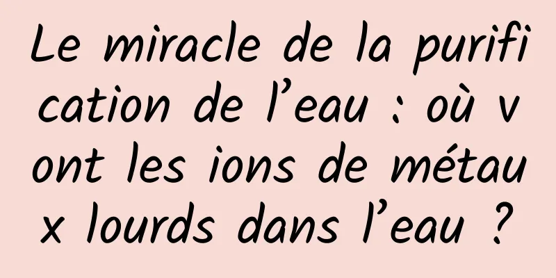 Le miracle de la purification de l’eau : où vont les ions de métaux lourds dans l’eau ?