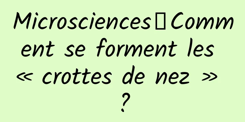 Microsciences丨Comment se forment les « crottes de nez » ?