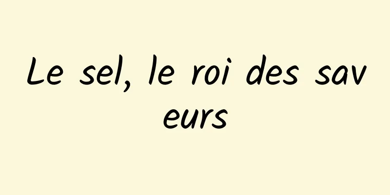 Le sel, le roi des saveurs