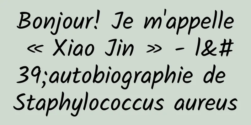 Bonjour! Je m'appelle « Xiao Jin » - l'autobiographie de Staphylococcus aureus
