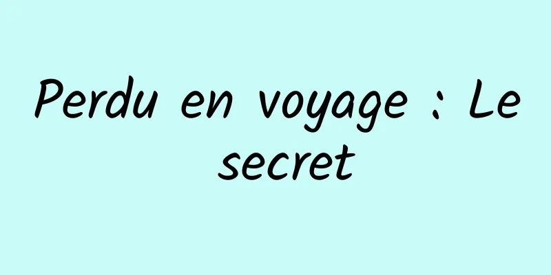 Perdu en voyage : Le secret