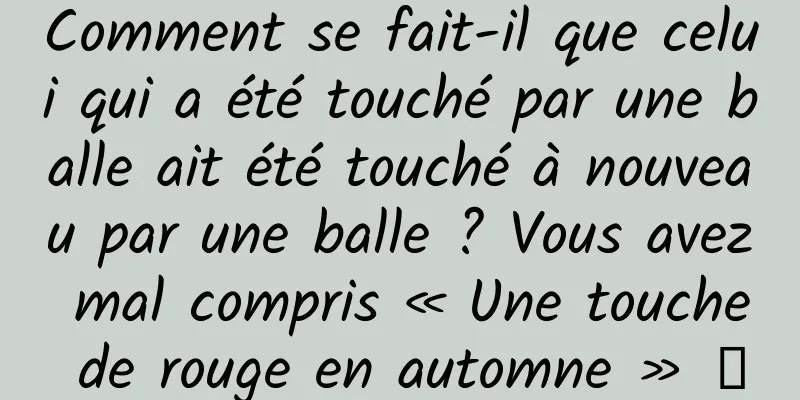 Comment se fait-il que celui qui a été touché par une balle ait été touché à nouveau par une balle ? Vous avez mal compris « Une touche de rouge en automne » →