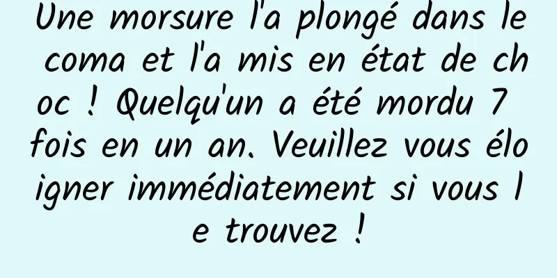 Une morsure l'a plongé dans le coma et l'a mis en état de choc ! Quelqu'un a été mordu 7 fois en un an. Veuillez vous éloigner immédiatement si vous le trouvez !