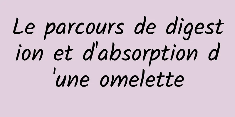Le parcours de digestion et d'absorption d'une omelette
