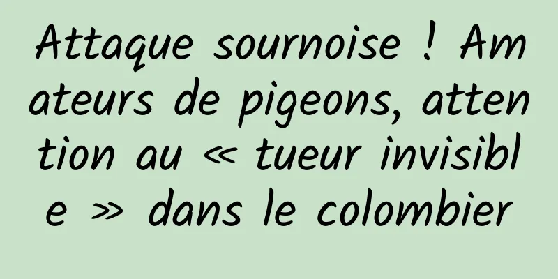 Attaque sournoise ! Amateurs de pigeons, attention au « tueur invisible » dans le colombier