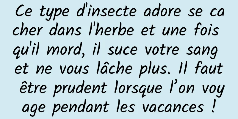 Ce type d'insecte adore se cacher dans l'herbe et une fois qu'il mord, il suce votre sang et ne vous lâche plus. Il faut être prudent lorsque l’on voyage pendant les vacances !