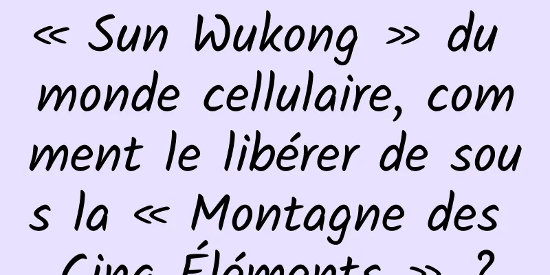 « Sun Wukong » du monde cellulaire, comment le libérer de sous la « Montagne des Cinq Éléments » ?