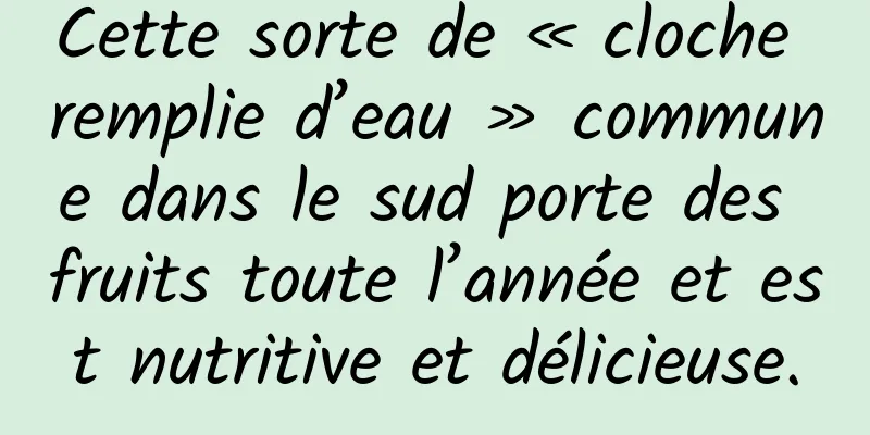 Cette sorte de « cloche remplie d’eau » commune dans le sud porte des fruits toute l’année et est nutritive et délicieuse.