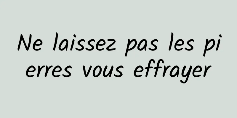 Ne laissez pas les pierres vous effrayer
